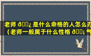 老师 🌿 是什么命格的人怎么办（老师一般属于什么性格 🐡 气质的人）